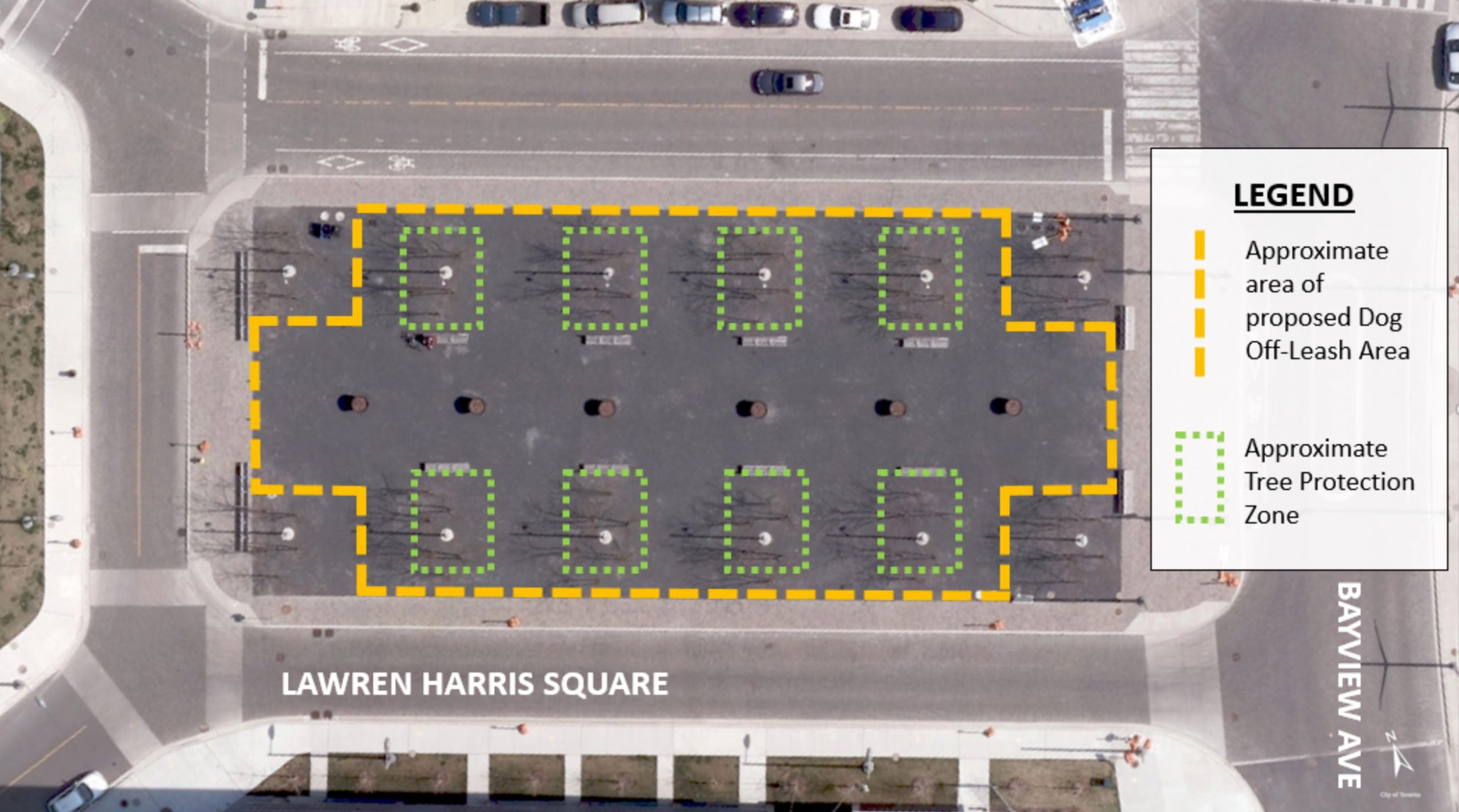 Approximate area of a potential dog off leash area in Lawren Harris square would include most of the square except for the treed corners. Each tree within the square would be fenced off as part of the required tree protection zones.
