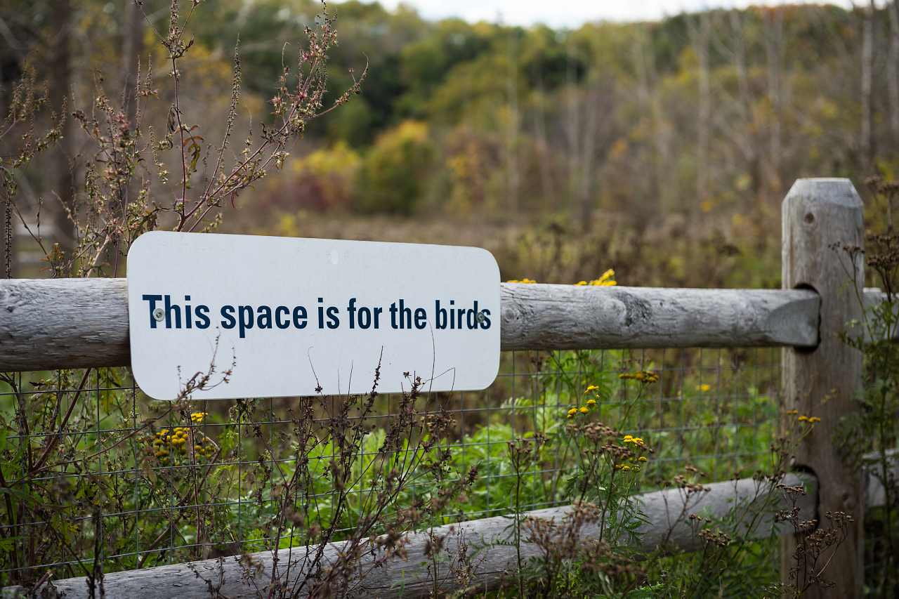 A sign in Cottonwood Flats, in the Lower Don Parklands, that reads "This space is for the birds.
