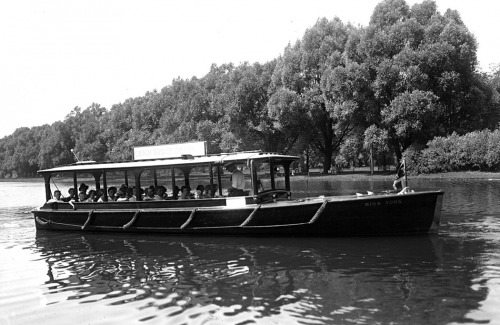 A small sightseeing boat with large open windows and a roof glides past trees on a shoreline.