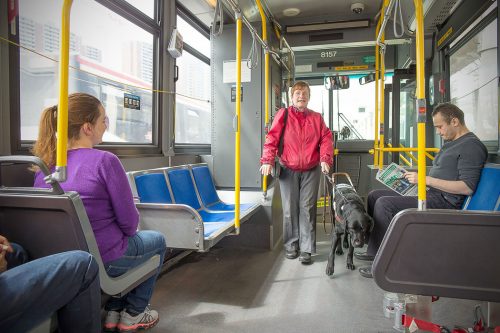 A person is led down the aisle of a bus by a black guide dog.