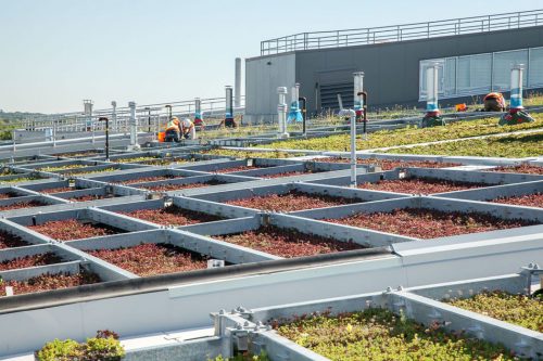 Red and green plants grow in a metal grid of planters on a flat roof.