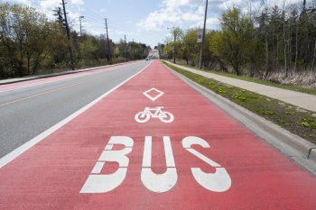 red painted rapidTO bus lane.