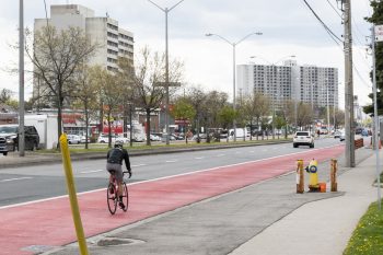 person cycling in the rapidTO bus lane.