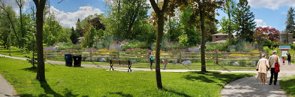 An artist's rendering of the proposed pollinator habitat in Guildwood Village Park, looking west. The image shows the garden in the distance, with three pathway connections in the foreground with pedestrians walking.