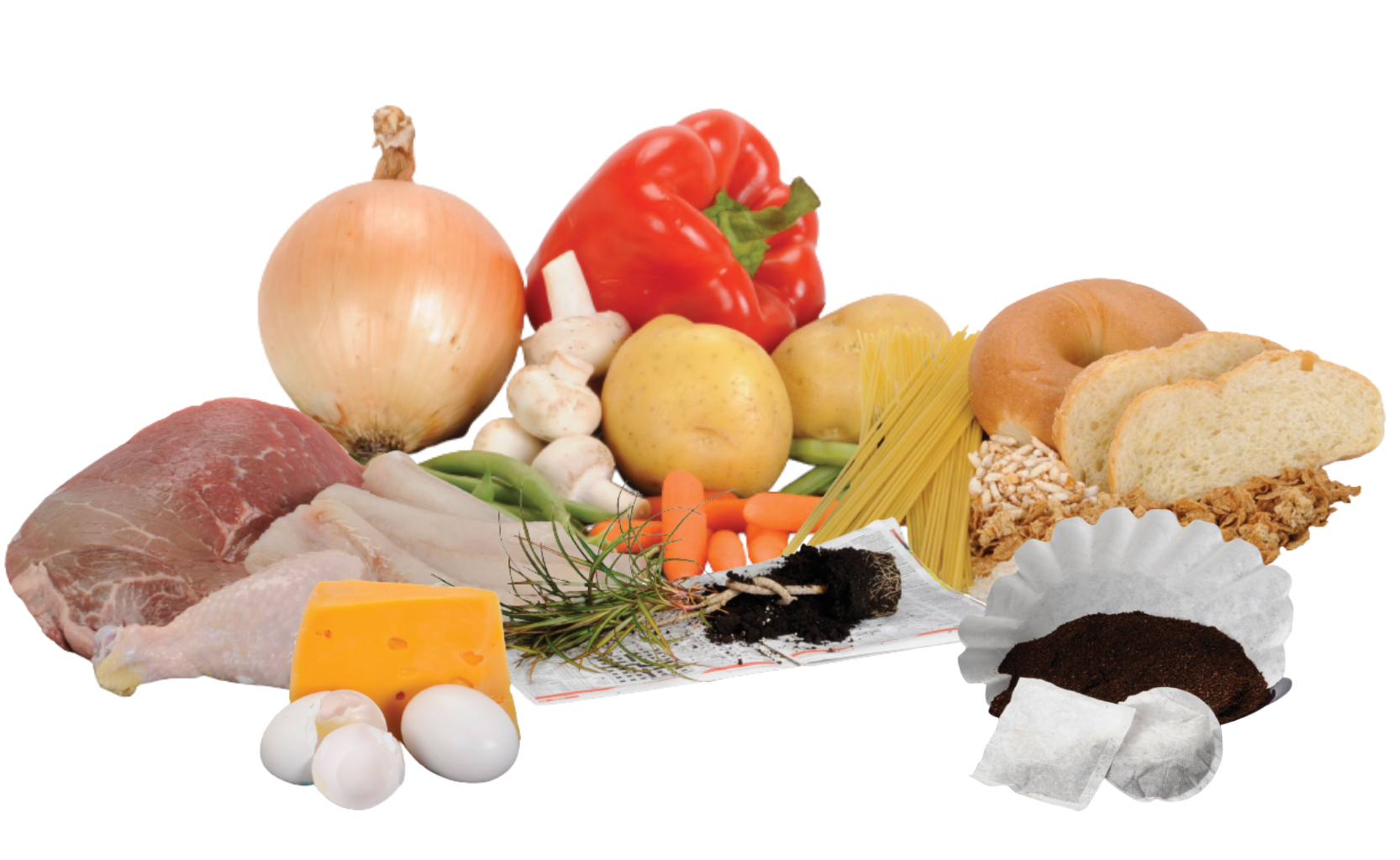 The Benefits of the Green Bin City of Toronto