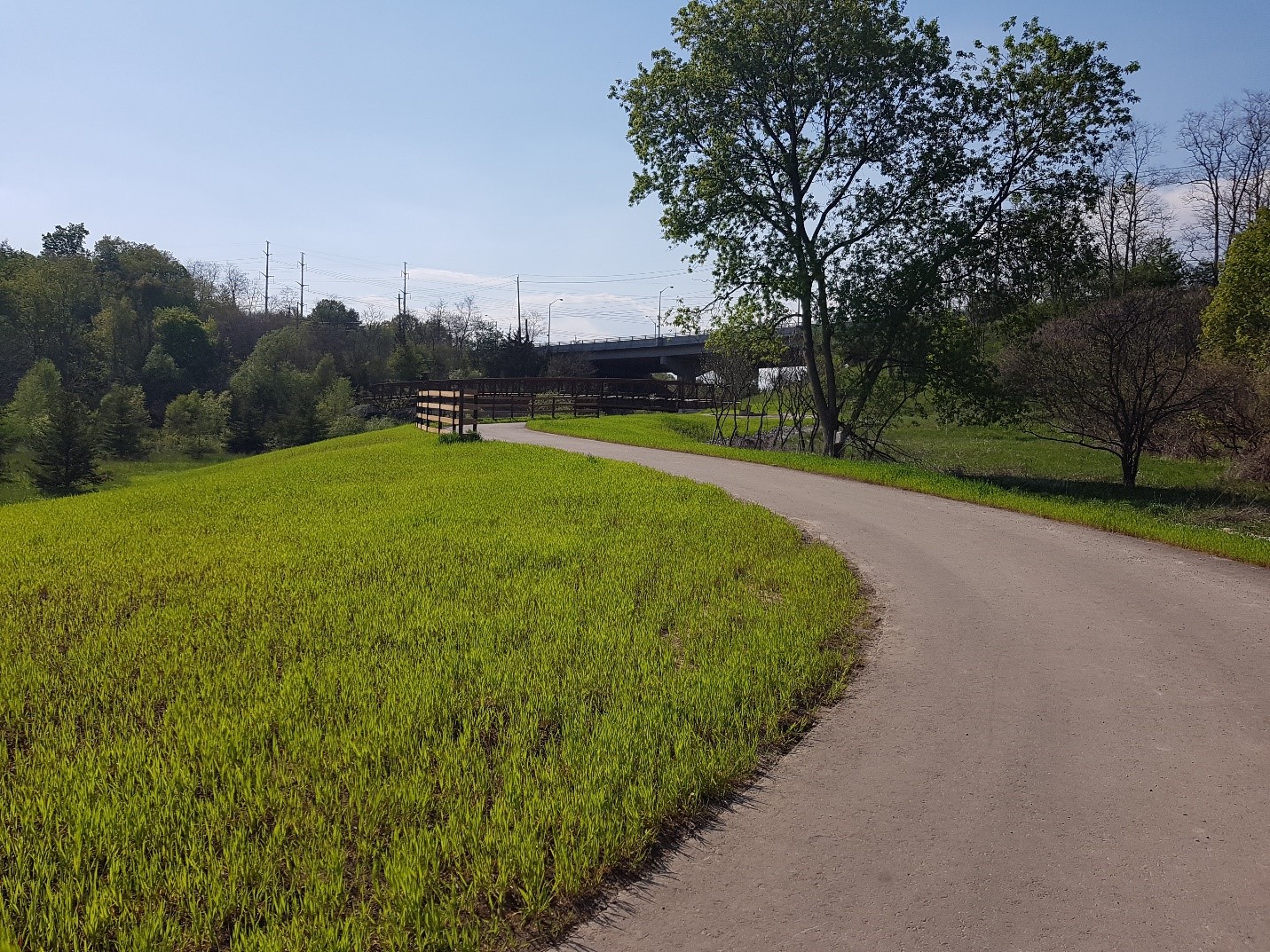 Trail connecting two newly installed pedestrian bridges in Morningside Park south of Ellesmere Road.