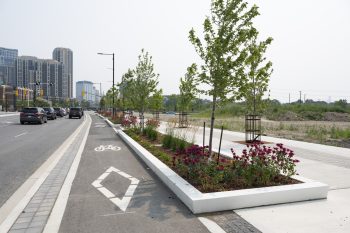 Etobicoke Centre bike lane and planter.