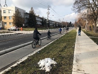 Picture of Street level cycle track bollards mounted on curbs. Please contact Aadila Valiallah for more information at Aadila.Valiallah@toronto.ca