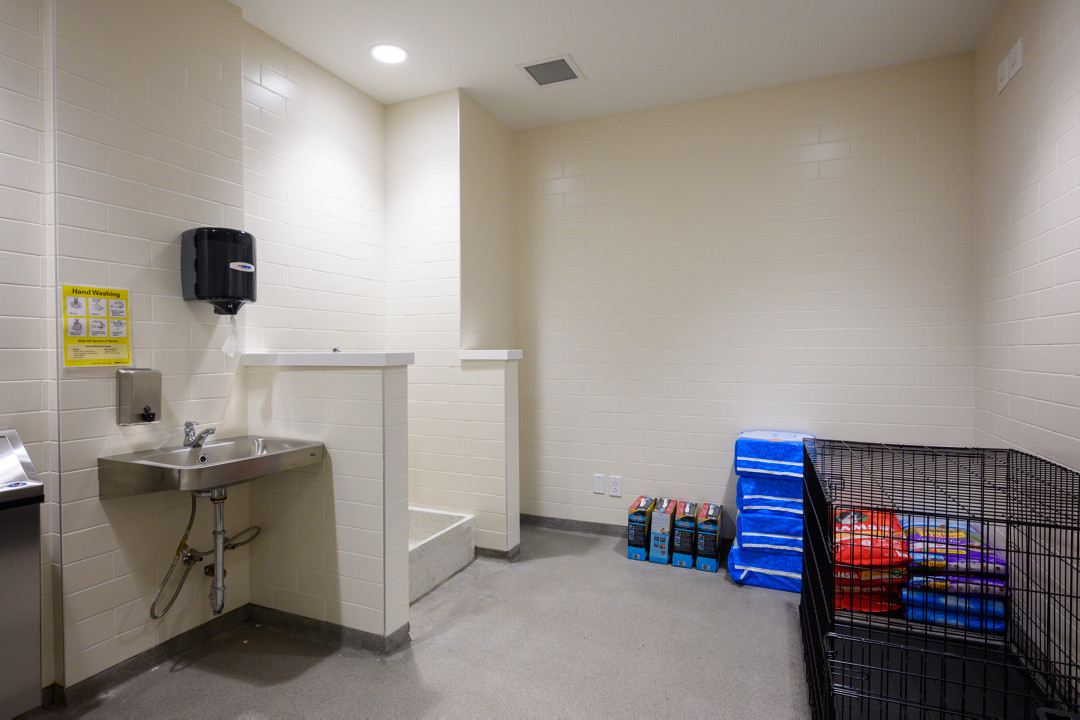 Pet-friendly spaces