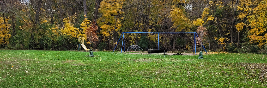A photograph of Spring Garden Park Playground, which includes one slide, a swing set and a climber. The playground is surrounded by tall trees and grass.