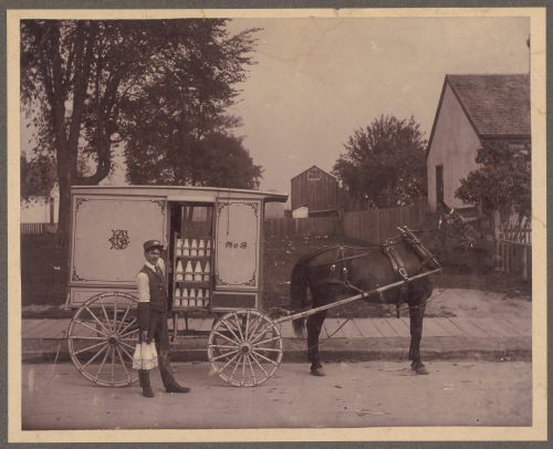 Photograph of dairy driver and horse-drawn wagon