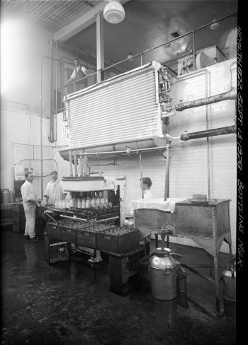Photograph of milk bottling process