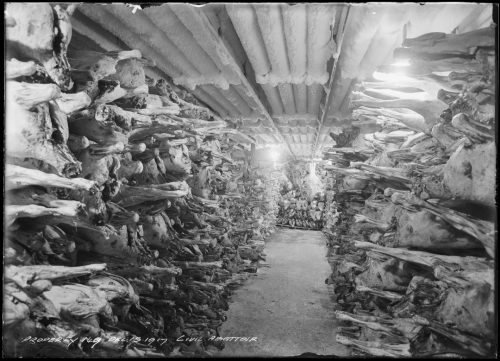 Photograph of abattoir interior