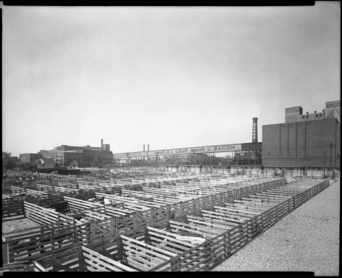 Photograph of livestock stalls at the Union Stock Yards