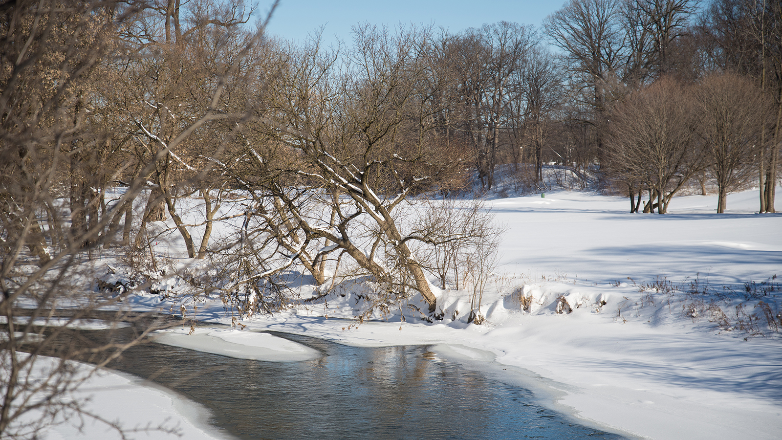 Humber river flowing through snow covered Lambton Woods