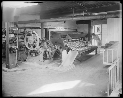 Photograph of industrial bread oven