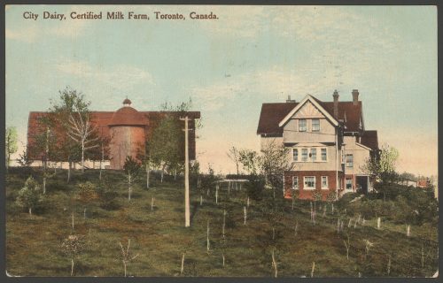 Postcard of the City Dairy certified milk farm