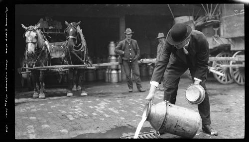 Photograph of health inspector destroying contaminated milk