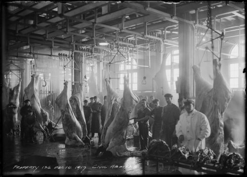 Photograph of meat processing inside abattoir