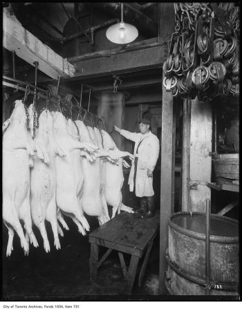 Photograph of Slaughtered swine