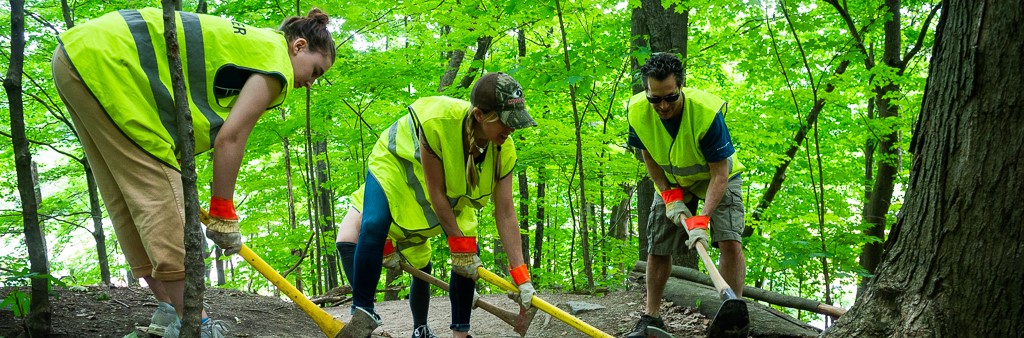 Three volunteers wearing safety vests use hand tools to help maintain a natural trail in Crothers Woods.