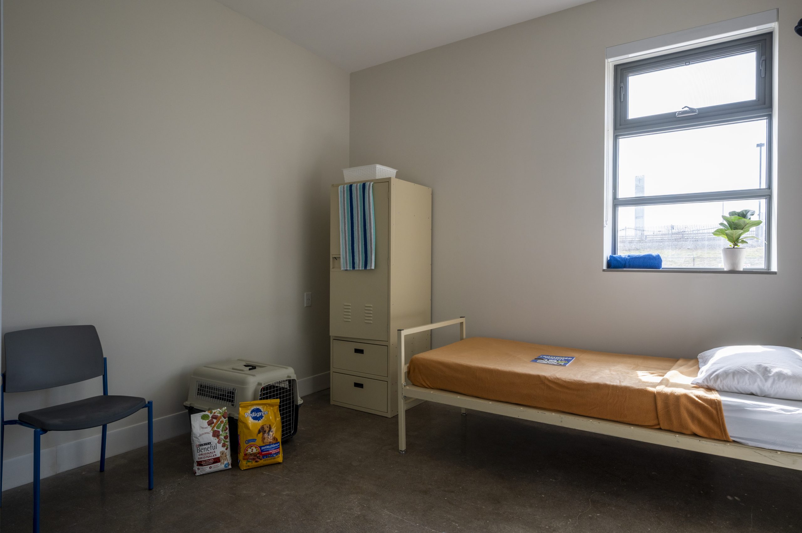 Single bed with orange bedcovers, a locker and pet supplies in a room with a bright window