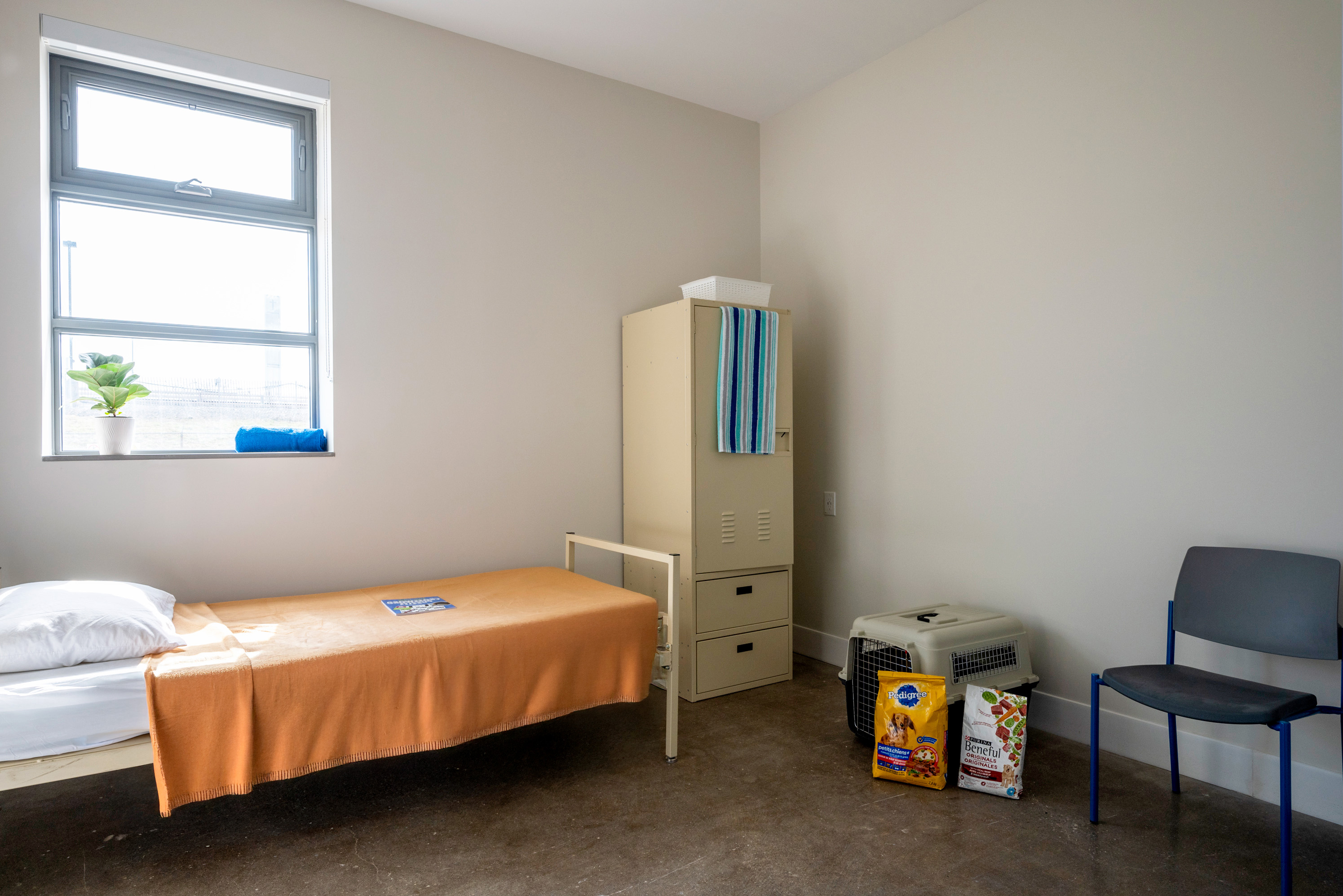 Single bed with orange bedcovers, a locker and pet supplies in a room with a bright window