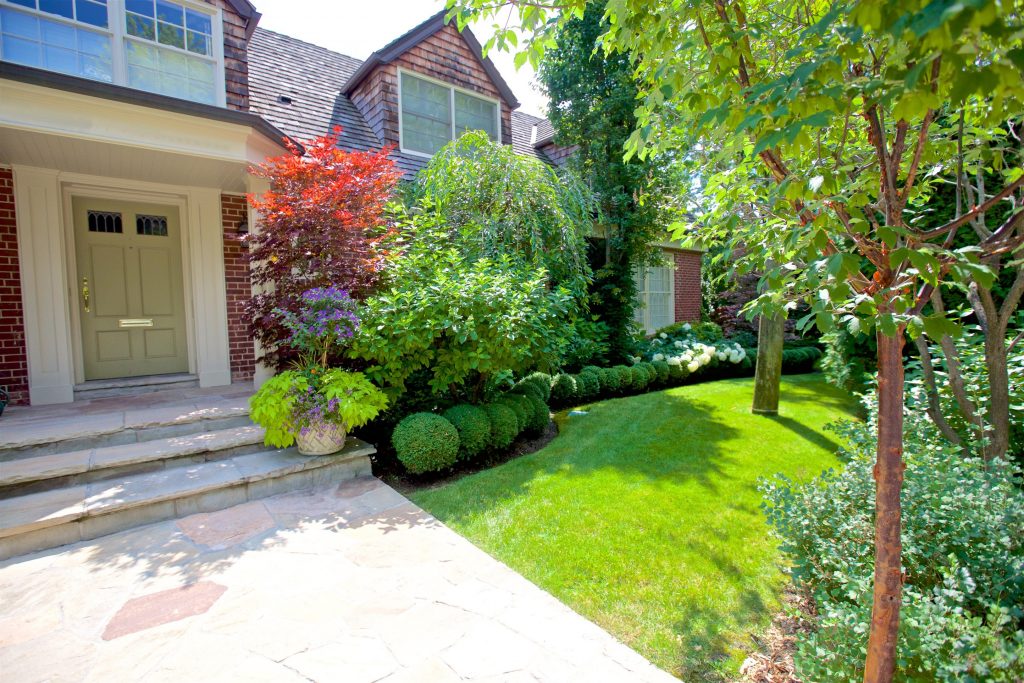 A front lawn garden with bright green round box woods in a curved garden bed with green and red trees. There is a stone pathway in the left of the image the leads up to a Olivia green door on a brick faced home.