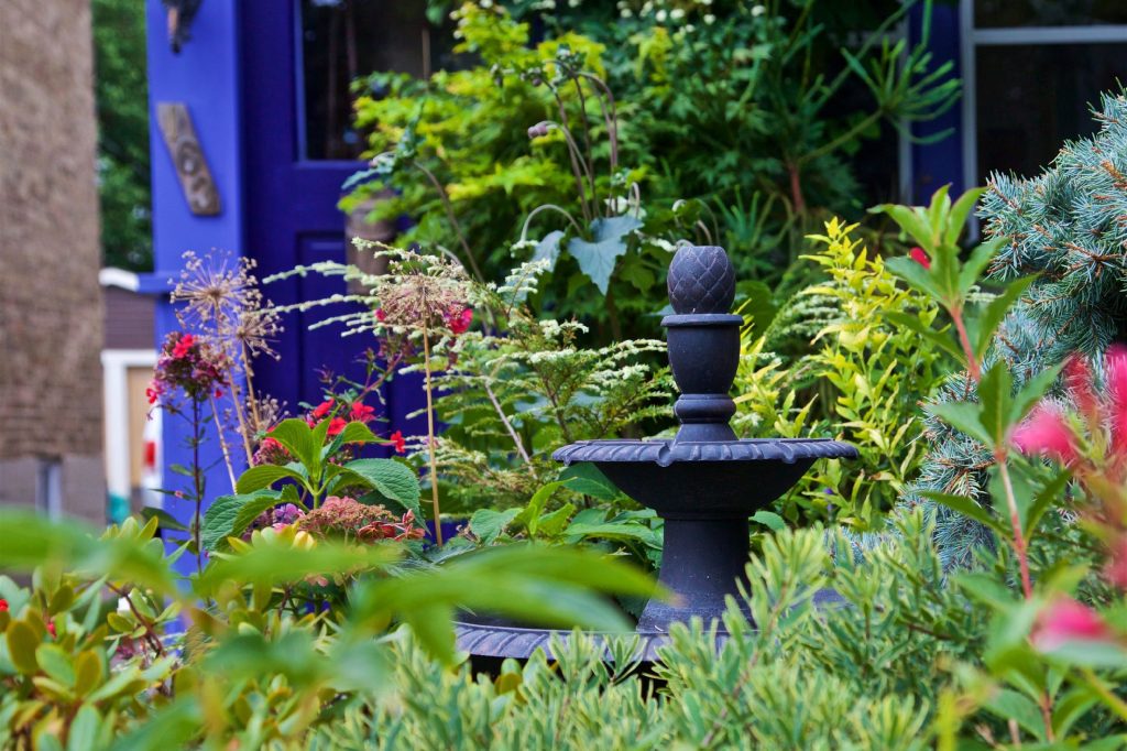 A front lawn garden with deep green hydrangea plants without flowers and a two level black water fountain. In the background of the image there is a blurred out bright blue front door to the home.