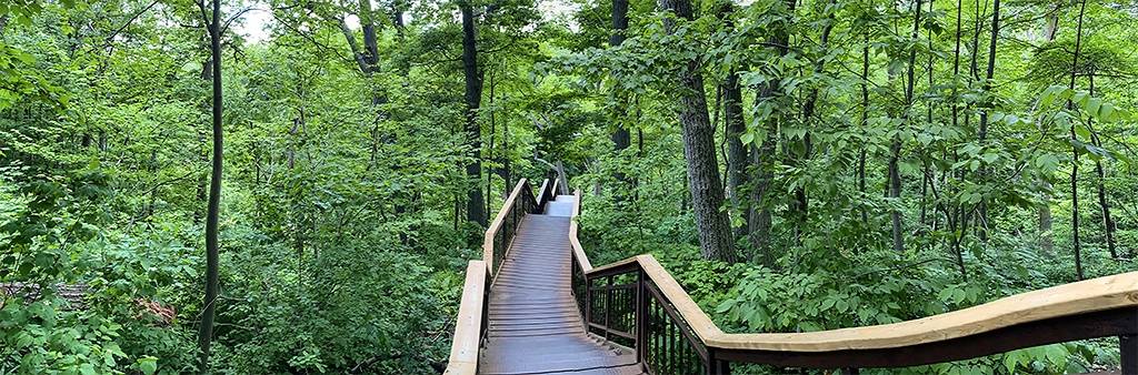 Staircase leading down into the ravine at Glen Stewart Park