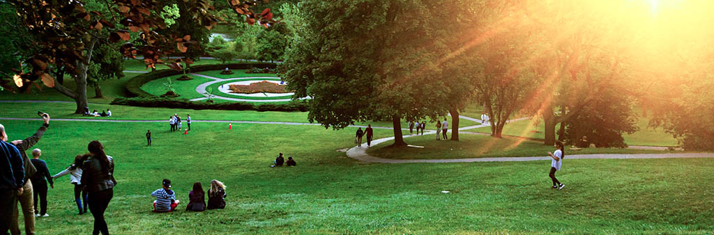 People walking in a park with bright green grass and a beaming sunset that is shining through the trees in the top right of the image.