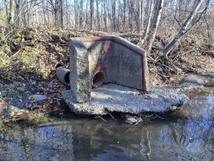 Image of problem area in Mimico Creek. Please contact Tracy Manolakakis at 416 392 2990 or mimicocreek@toronto.ca