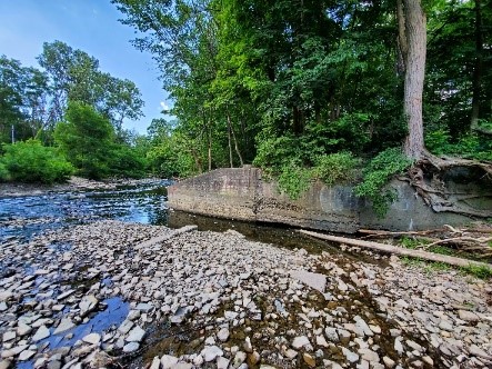 Image of problem area in Mimico Creek. Please contact Tracy Manolakakis at 416 392 2990 or mimicocreek@toronto.ca