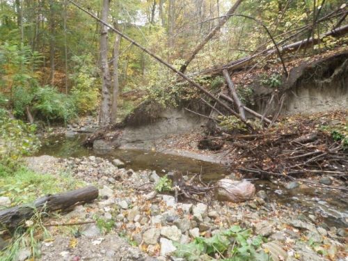 Image of significant erosion between exposed sewer crossing and downstream manhole. Please contact Tracy Manolakakis for more information at newtonbrook@toronto.ca or 416 392 2990.