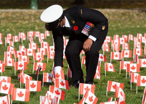 Ceremony marking the end of the Second World War with flags planted marking each of the Toronto fallen, November 2020