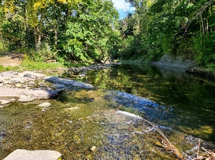 Image of problem area in Mimico Creek. Please contact Tracy Manolakakis at 416 392 2990 or mimicocreek@toronto.ca