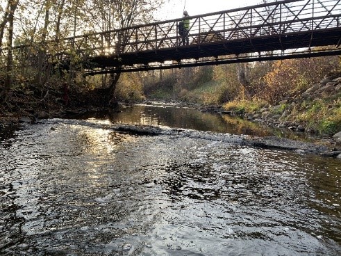 Image of problem area in Mimico Creek. Please contact Tracy Manolakakis at 416 392 2990 or mimicocreek@toronto.ca