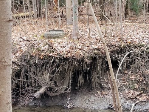 Image Exposed manhole in the bank. Please contact Tracy Manolakakis for more information at newtonbrook@toronto.ca or 416 392 2990.