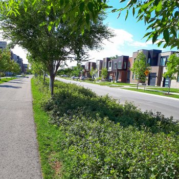 Green Streets showcases plantings in the boulevard between the pavement and the road.