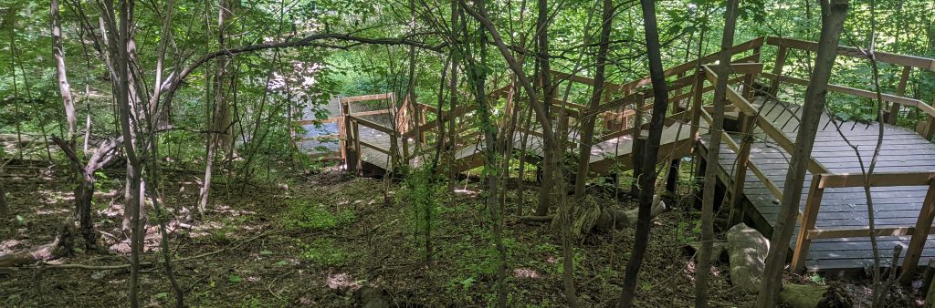 Switchback staircase shown in the area of Rosedale Valley Road at the bottom of slope and Wellesley Park (Wellesley Avenue) on the top of the slope in the tableland