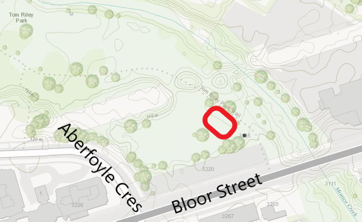 An aerial map of Tom Riley Park, showing the location of the new basketball court in red. The basketball court will be located parallel to Bloor Street, east of Aberfoyle Crescent.