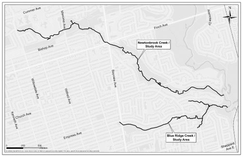Map of Newtonbrook Creek Study Area following Newtonbrook Creek at Willowdale Ave to Bayview Avenue and Finch Avenue to the CN Rail path to the East. Please contact Tracy Manolakakis for more information at newtonbrook@toronto.ca or 416 392 2990.