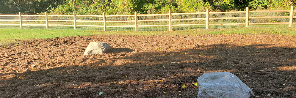 The fenced off-leash area at Colonel Danforth Park has a gravel surface. There are benches and a decorative rock within.