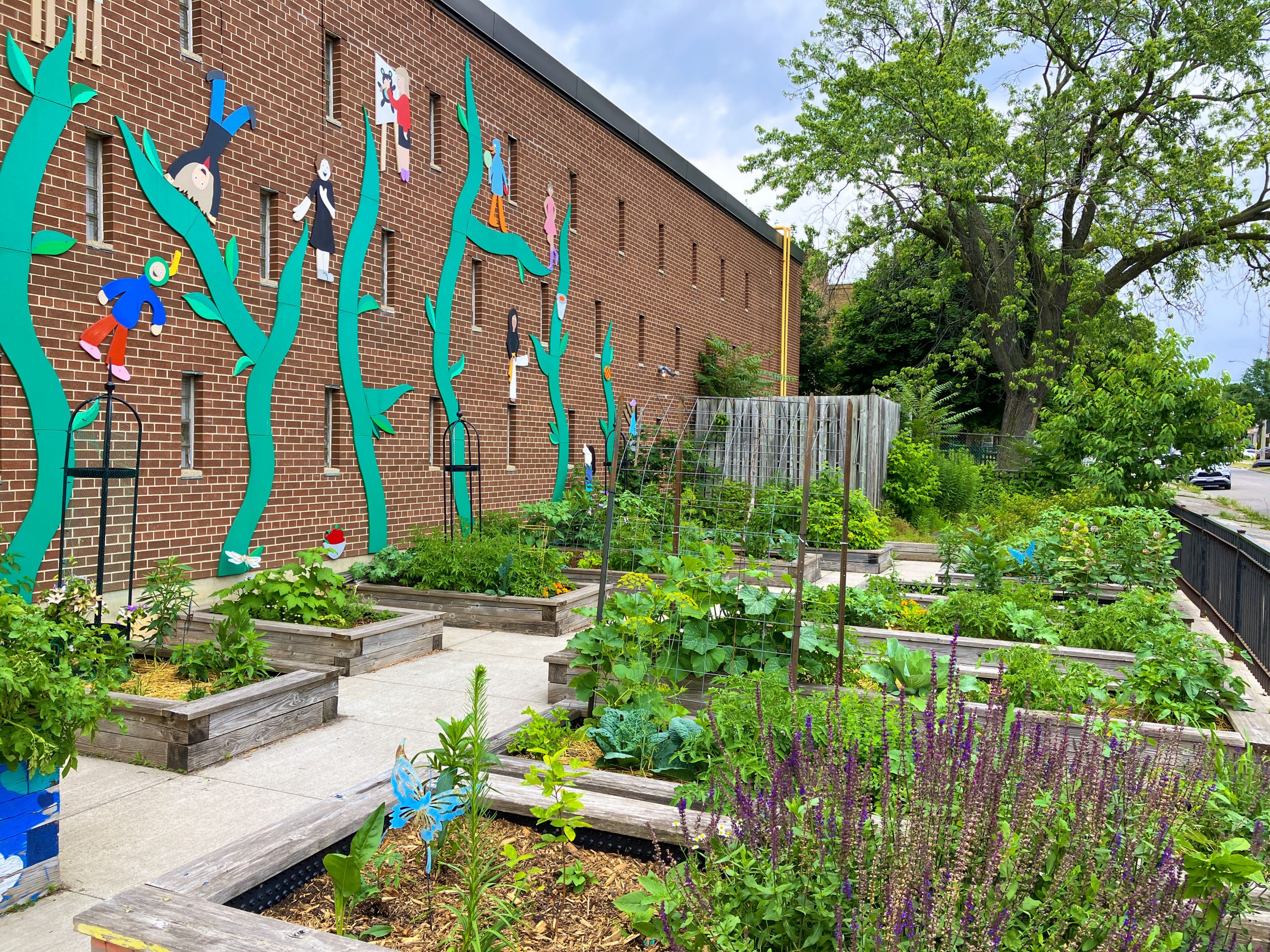 A series of wooden garden planter boxes outside a red brick building. The planter boxes contain green flowers.