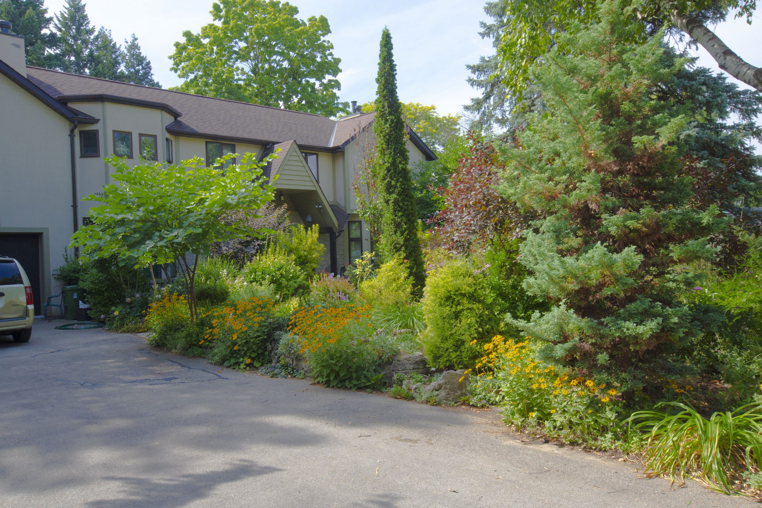 A densely filled garden with green, yellow and purple plants and trees.