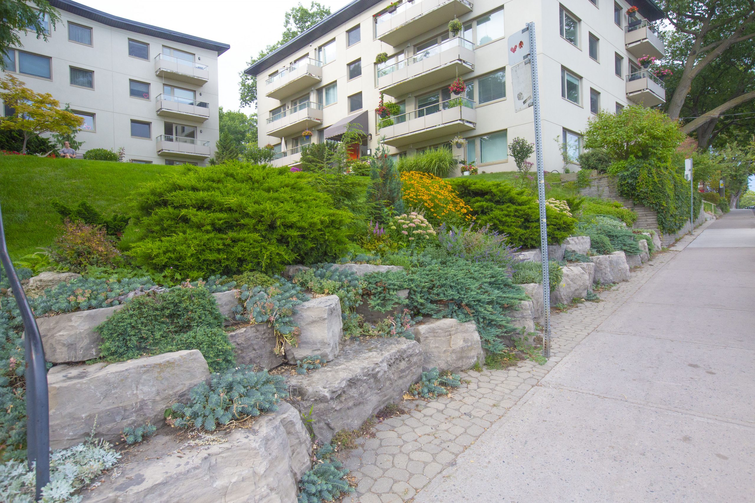 A garden off to the left of a side walk that is filled with rocks, green and yellow plants. There are apartment buildings in the background.