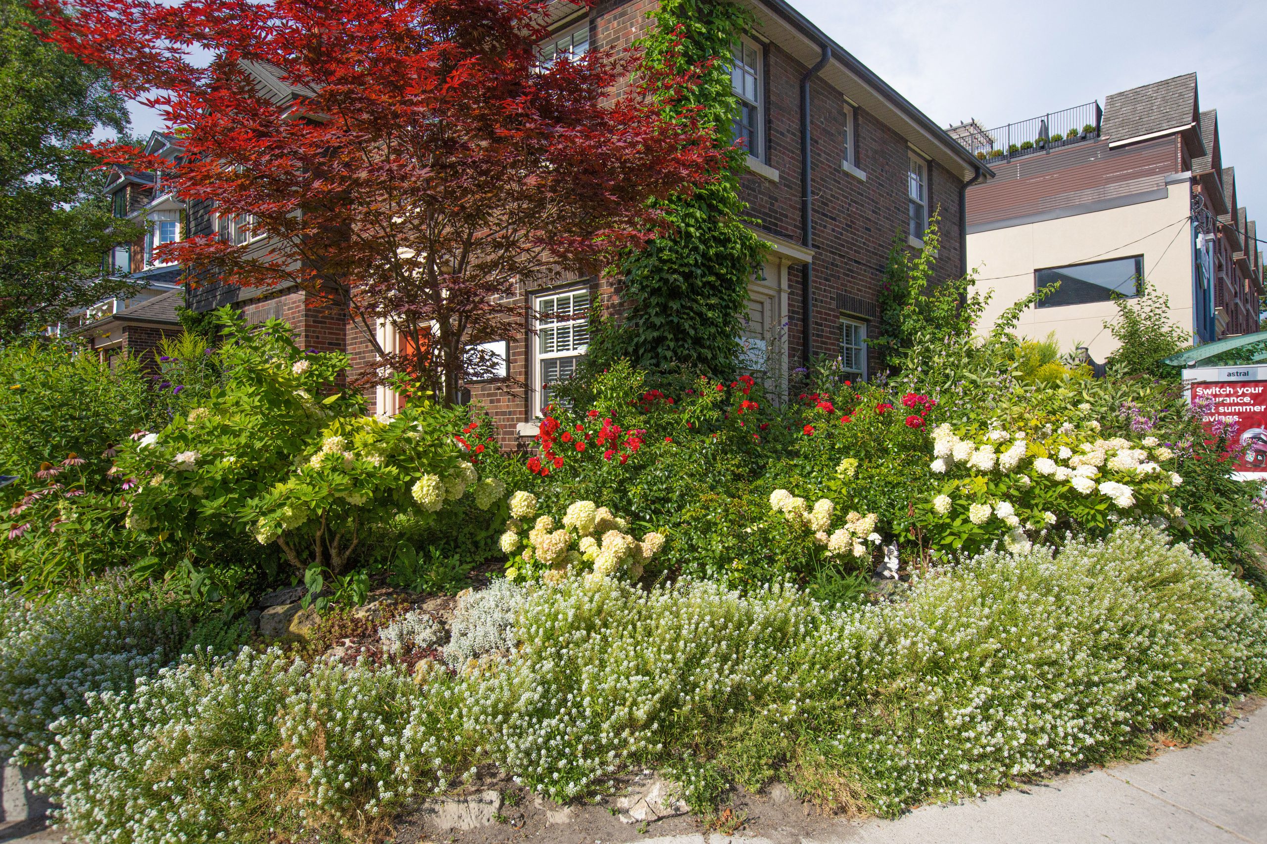 A luscious flowered garden in front of a red brick building filled with bright green, white and red flowers.