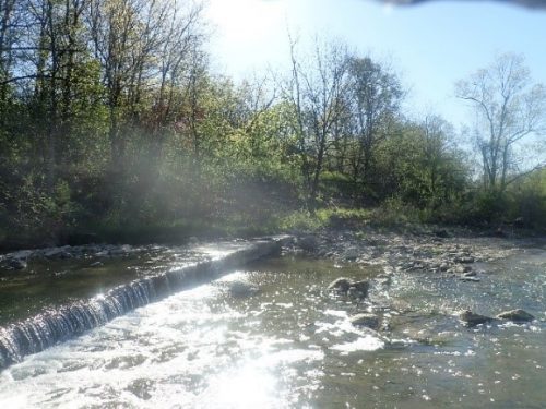 Image of West Humber River with a sanitary sewer running through it. Please contact Tracy Manolakakis for more information at 416 392 2990 or westhumberriver@toronto.ca 