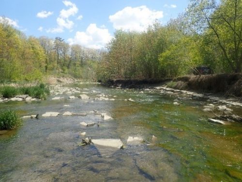 Image of West Humber River with visible riverbed. Please contact Tracy Manolakakis for more information at 416 392 2990 or westhumberriver@toronto.ca 