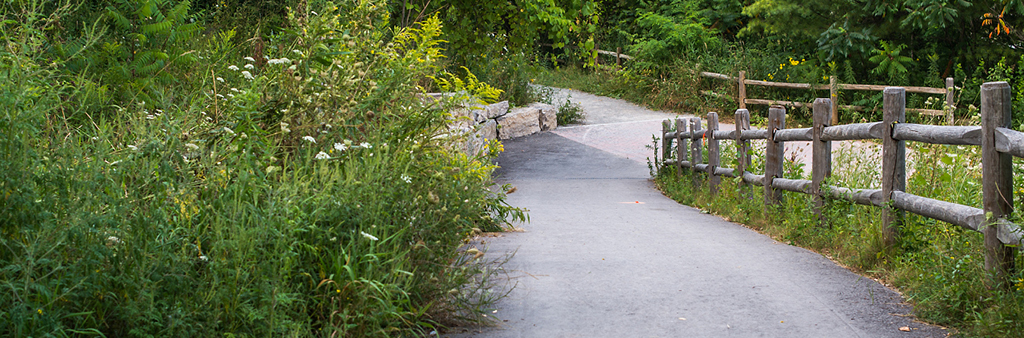 A segment of the Lower Don Trail includes a paved multi-use path, intended for recreational uses such as cycling and walking. The path is surrounded by natural features and a wood post and rail fence on the right side of the path to define the edges and provide protective barriers to the natural features.